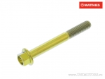 Parafuso de cabeça hexagonal Pro Bolt M6 x 1.00 x 50 mm titânio dourado - JM