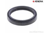 P.F. ATHENA NOK BR6649G 48x58,1x8,5/10,5 - Athena