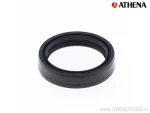 P.FOR.NOK BR1922E TC4 43x54x11 - Athena