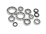 Rear Differential Bearings/Seals Set - Kawasaki Mule PRO-FX Std/EPS/LE / Mule PRO-DXT Std/EPS/LE ('16-'22) - EPI