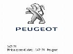 REAR SPROCKET 40 TEETH - 047171 - Peugeot