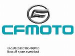 Rear Swingarm Assembly - 6AQV06030010040BP00 - CFMOTO
