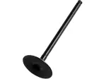 Replacement Valve - Black - 09262915
