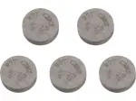 Replacement Valve Shims - 09261322