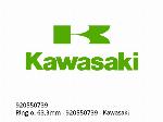 RING-O, 63.3MM - 920550739 - Kawasaki