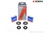 Role arborelui cotit și simeringuri Athena, Derbi Hunter 50 - Athena