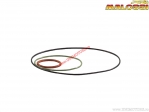 Satz O-Ringe (Durchmesser 40-47,6mm) - Malossi