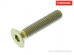 Screw cap recessed hexagon socket Pro Bolt M6 x 1.00 x 30 mm titanium gold - JM