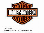 SCREW,T45 TORX,SOCKET HEAD CAP - 10200449 - Harley-Davidson