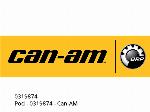 SEADOO BRIDGE - 0319874 - Can-AM