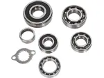 Set cuscinetti trasmissione - 11060095