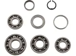 Set cuscinetti trasmissione - 11060119