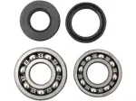 Set cuscinetto principale albero motore e kit guarnizioni - 09240030
