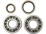 Set hoofdlagers krukas en keerring - 09240053