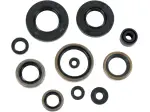 Set paraoli motore - KAWASAKI KX 250 ('93-'08) - Moose