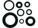 Set paraoli olio motore - Honda CR 250 R ('92-'01) - Moose