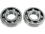 Set rulment principal arbore cotit și garnitură - 09240120