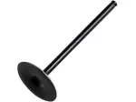 Soupape de Remplacement - Noire - 09263107