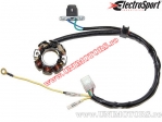 Stator Suzuki RM-Z 450 ('05-'07) - (Electrosport)