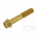 Surub cap hexagonal Pro Bolt M10 x 1.25 x 50 mm inox A4 auriu - JM