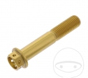 Surub cap hexagonal Pro Bolt M10 x 1.25 x 55 mm aluminiu Racing auriu - JM