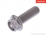 Surub cap hexagonal Pro Bolt M8 x 1.25 x 25 mm titan Racing - JM