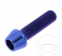 Surub cap rotund conic Pro Bolt M10 x 1.25 x 35 mm inox A4 albastru - JM