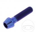 Surub cap rotund conic Pro Bolt M10 x 1.25 x 40 mm inox A4 albastru - JM