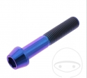 Surub cap rotund conic Pro Bolt M10 x 1.25 x 55 mm inox A4 violet - JM