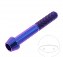Surub cap rotund conic Pro Bolt M10 x 1.25 x 65 mm inox A4 violet - JM