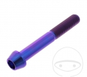 Surub cap rotund conic Pro Bolt M10 x 1.25 x 70 mm inox A4 violet - JM