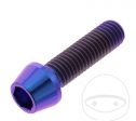Surub cap rotund conic Pro Bolt M10 x 1.50 x 35 mm inox A4 violet - JM