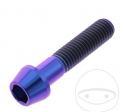 Surub cap rotund conic Pro Bolt M10 x 1.50 x 45 mm inox A4 violet - JM