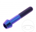 Surub cap rotund conic Pro Bolt M10 x 1.50 x 55 mm inox A4 violet - JM