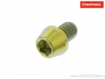Surub cap rotund conic Pro Bolt M6 x 1.00 x 8 mm titan auriu - JM