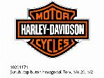 Svite, bhcs, torx, 1/4-20, 1/2 - 10201171 - Harley-Davidson
