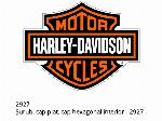 Svite, testa piatta, esagono incassato - 2927 - Harley-Davidson