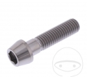 Tornillo cónico redondo Pro Bolt M10 x 1.50 x 40 mm acero inoxidable A4 - JM