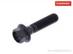 Tornillo de cabeza hexagonal Pro Bolt M5 x 0.80 x 20 mm titanio negro - JM