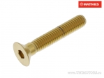 Tornillo de cabeza hexagonal Pro Bolt M6 x 1.00 x 35 mm inox A4 dorado - JM