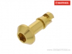 Tornillo de liberación rápida 19 mm tapa hexagonal dorada - JM