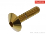 Tornillo de perno Pro Bolt M6 x 1.00 x 25 mm acero inoxidable A4 dorado - JM