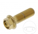 Tornillo de tapa hexagonal Pro Bolt M10 x 1.25 x 30 mm de acero inoxidable A4 dorado - JM