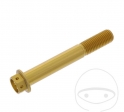 Tornillo de tapa hexagonal Pro Bolt M10 x 1.25 x 70 mm de aluminio Racing dorado - JM