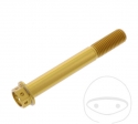 Tornillo de tapa hexagonal Pro Bolt M10 x 1.25 x 75 mm Aluminio Racing Dorado - JM