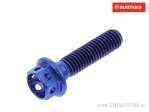 Tornillo de tapa hexagonal Pro Bolt M5 x 0.80 x 20 mm titanio Racing azul - JM