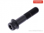 Tornillo hexagonal doble Pro Bolt M10 x 1.25 x 45 mm titan Racing negro - JM