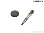 Transmisie primară Athena 13/41, Peugeot - Athena