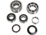 Transmissie lagerkit - 11060093