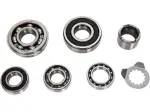 Transmission Bearing Kit - 11060103